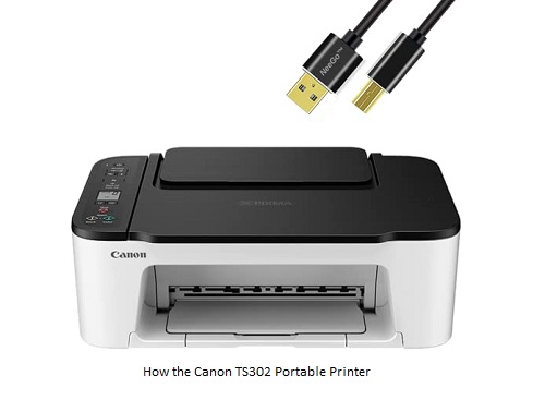 How the Canon TS302 Portable Printer is Revolutionizing Mobile Printing